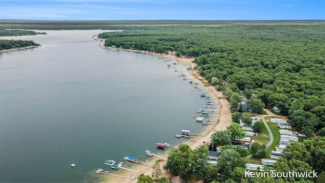 8176 W Pine Gove Beach Dr, Baldwin, MI 49304 - photo 4