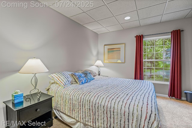 4278 Springwood Ct, Fenton, MI 48430 - photo 52