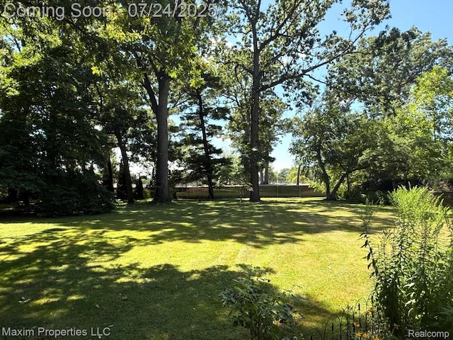 18031 Hamilton Rd, Detroit, MI 48203 - photo 5