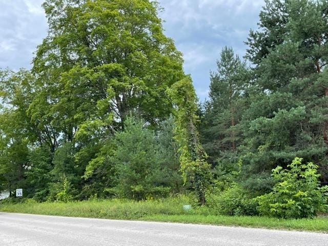 00 E State St, Central Lake, MI 49622 - photo 1