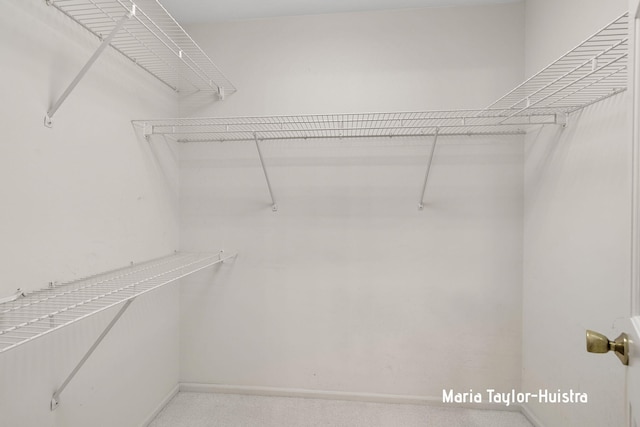 16945 Aliquot Dr, West Olive, MI 49460 - photo 60