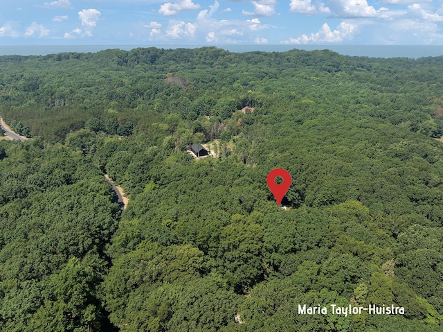 16945 Aliquot Dr, West Olive, MI 49460 - photo 8