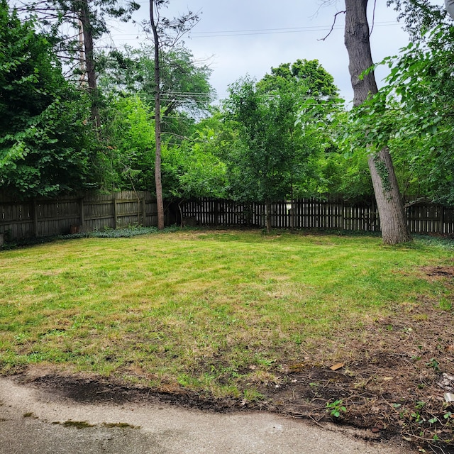 2821 Broadway Ave, Kalamazoo, MI 49008 - photo 24