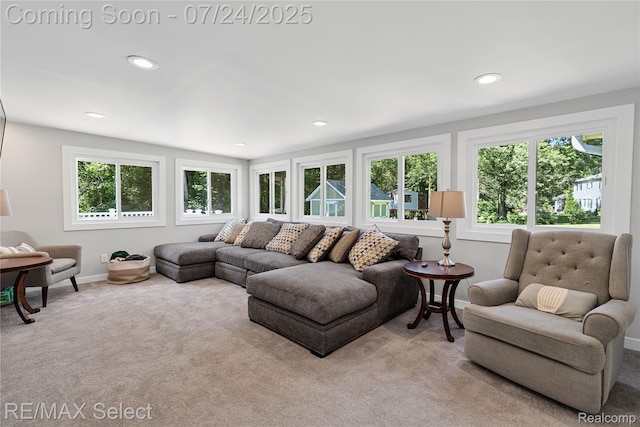 2456 N Tipsico Lake Rd, Hartland, MI 48353 - photo 29