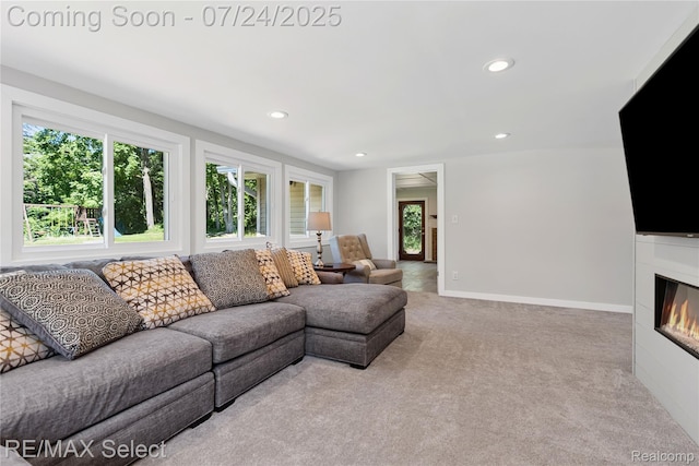 2456 N Tipsico Lake Rd, Hartland, MI 48353 - photo 28