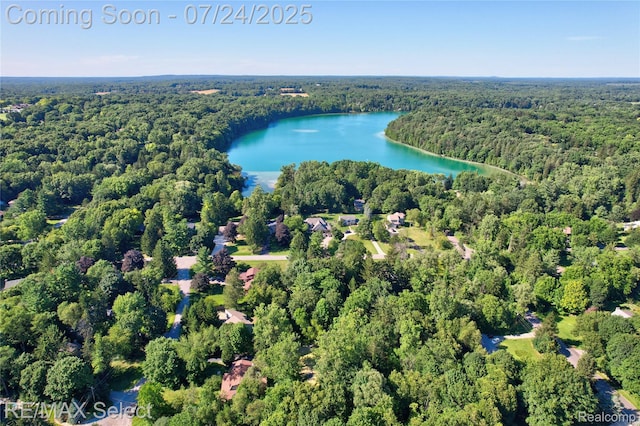 2456 N Tipsico Lake Rd, Hartland, MI 48353 - photo 49