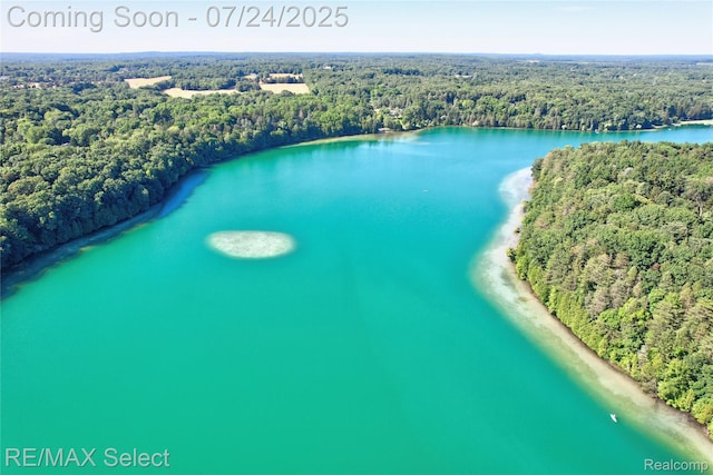 2456 N Tipsico Lake Rd, Hartland, MI 48353 - photo 51