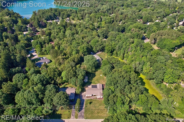 2456 N Tipsico Lake Rd, Hartland, MI 48353 - photo 48
