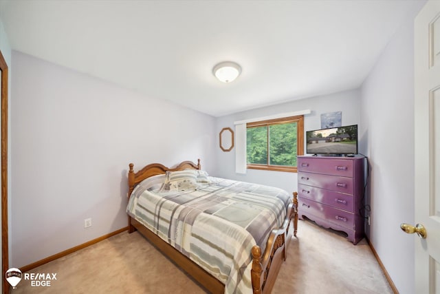 29251 Private Dr, Chesterfield, MI 48047 - photo 21