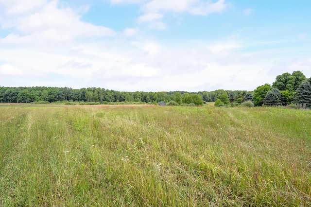 4740 Hoover Rd, Barryton, MI 49305 - photo 37
