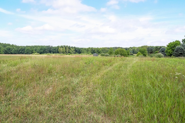 4740 Hoover Rd, Barryton, MI 49305 - photo 39