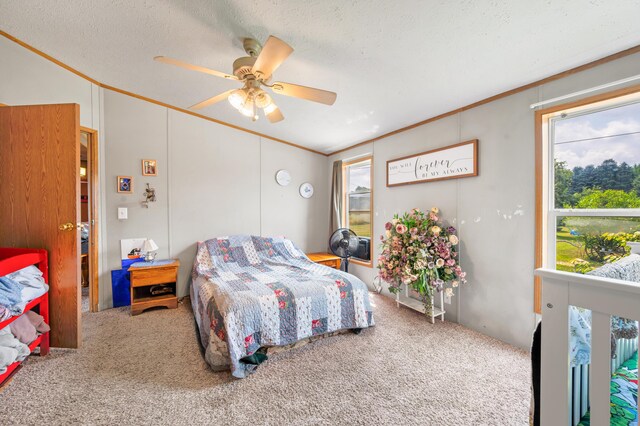 4740 Hoover Rd, Barryton, MI 49305 - photo 13