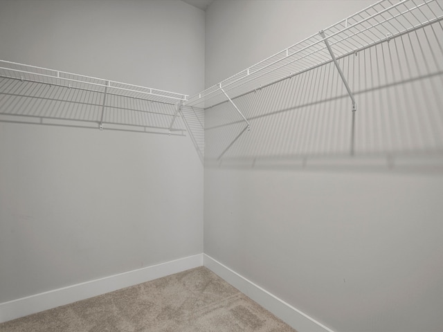 406 Pineway Dr, Ann Arbor, MI 48103 - photo 39