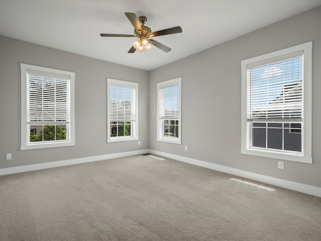 406 Pineway Dr, Ann Arbor, MI 48103 - photo 41