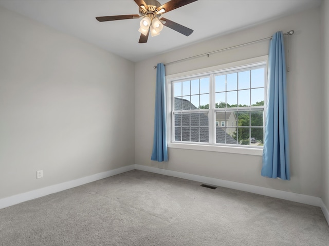 406 Pineway Dr, Ann Arbor, MI 48103 - photo 37