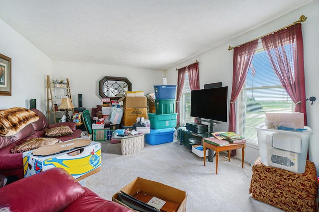 30591 Coohon Rd, Colon, MI 49040 - photo 16