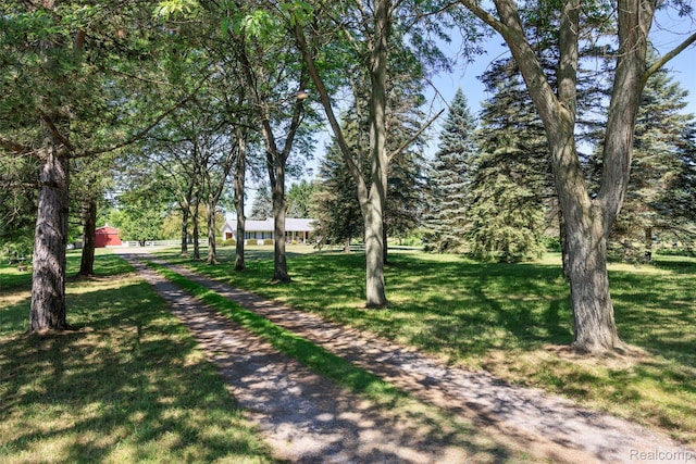 595 N Cedar Rd, Fowlerville, MI 48836 - photo 37