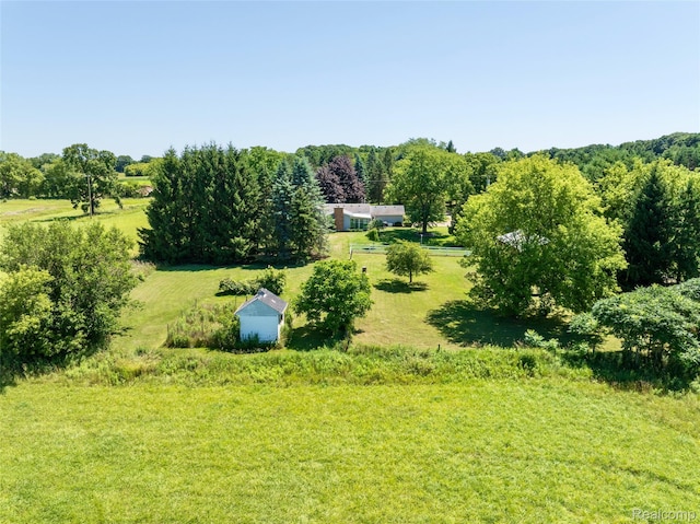 595 N Cedar Rd, Fowlerville, MI 48836 - photo 56