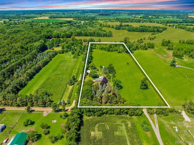 595 N Cedar Rd, Fowlerville, MI 48836 - photo 74
