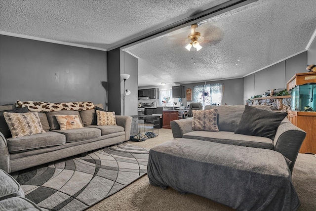 950 Lafayette St, Plainwell, MI 49080 - photo 4