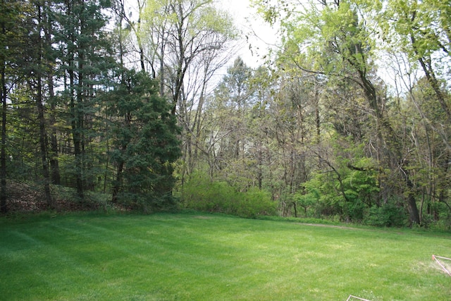 2913 Pagoda Path Unit 2, Stevensville, MI 49127 - photo 32