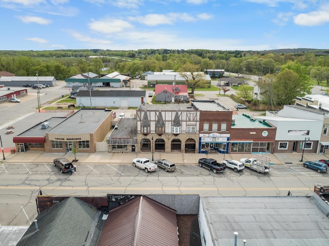130 N Main St, Evart, MI 49631 - photo 32