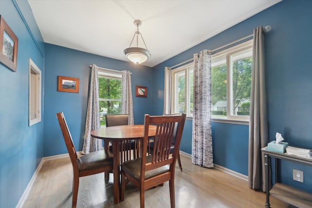 437 Iris Ave, Lansing, MI 48917 - photo 6