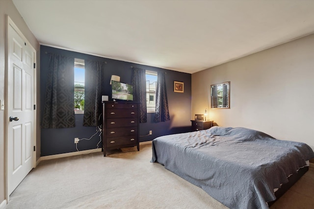437 Iris Ave, Lansing, MI 48917 - photo 15