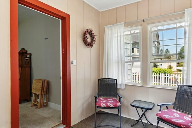 502 Green St, Big Rapids, MI 49307 - photo 7