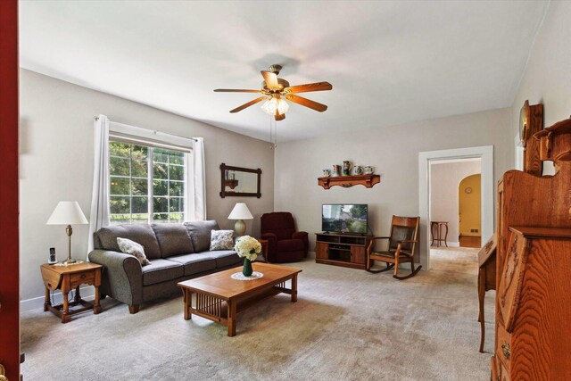 502 Green St, Big Rapids, MI 49307 - photo 9