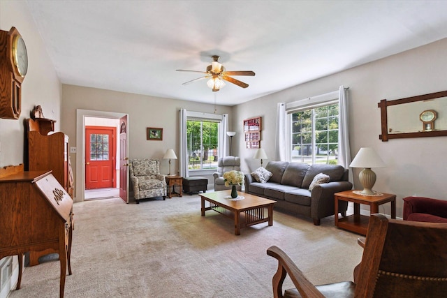 502 Green St, Big Rapids, MI 49307 - photo 11