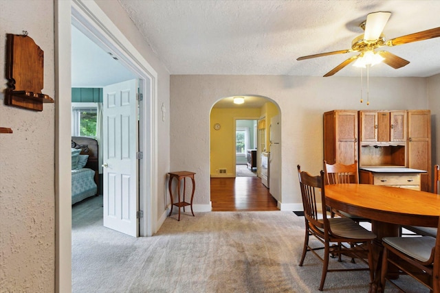 502 Green St, Big Rapids, MI 49307 - photo 12