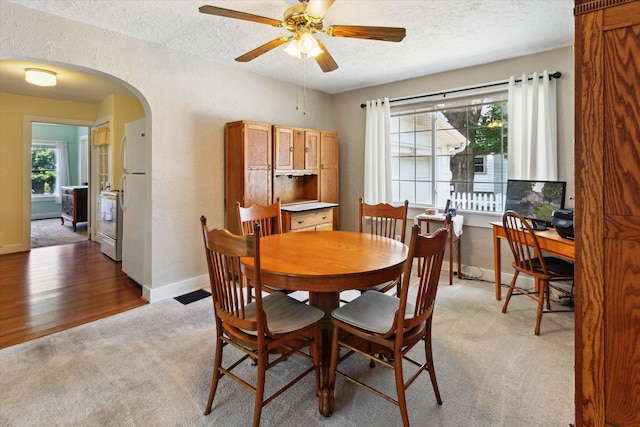 502 Green St, Big Rapids, MI 49307 - photo 13