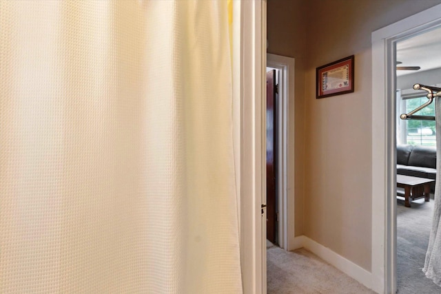 502 Green St, Big Rapids, MI 49307 - photo 21