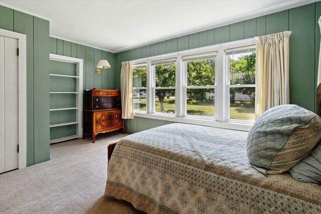 502 Green St, Big Rapids, MI 49307 - photo 28