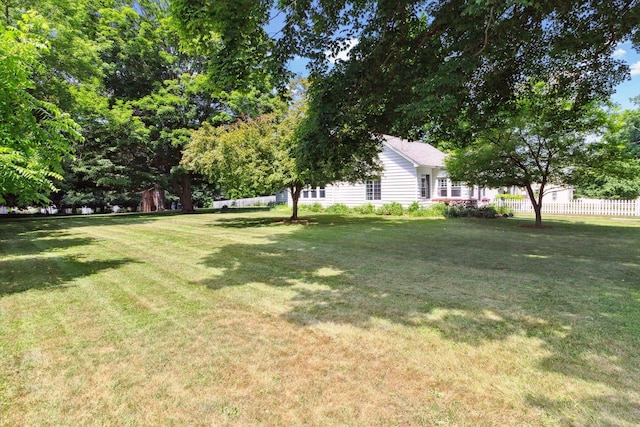 502 Green St, Big Rapids, MI 49307 - photo 49