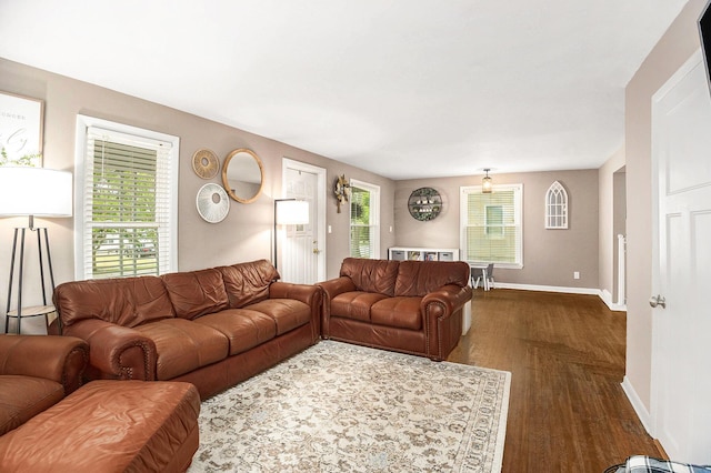 221 E Elm St, Fremont, MI 49412 - photo 6
