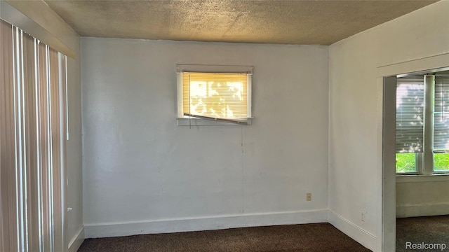 369 Puritan St, Highland Park, MI 48203 - photo 3