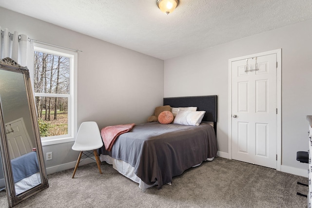 8908 County Road 215, Grand Junction, MI 49056 - photo 25