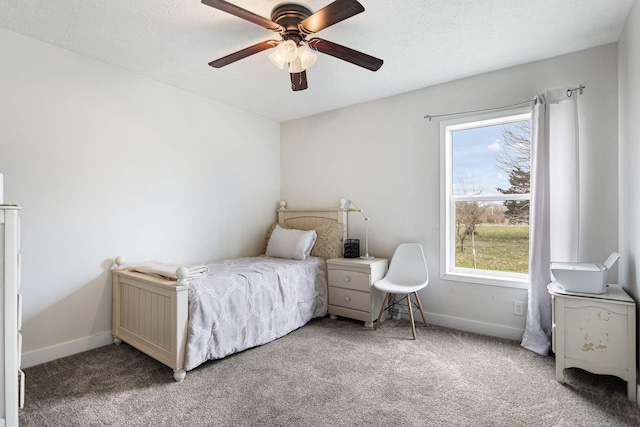 8908 County Road 215, Grand Junction, MI 49056 - photo 29