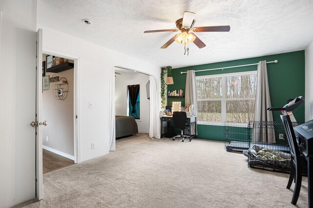 8908 County Road 215, Grand Junction, MI 49056 - photo 18