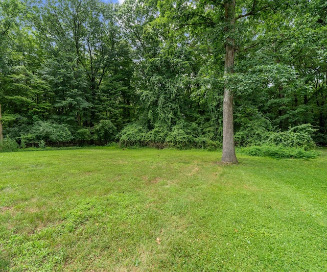 22285 Prosper Dr, Southfield, MI 48033 - photo 32