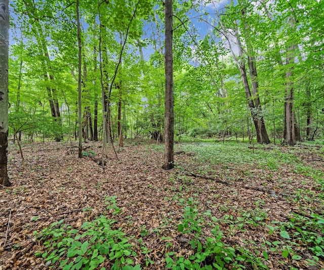 22285 Prosper Dr, Southfield, MI 48033 - photo 42
