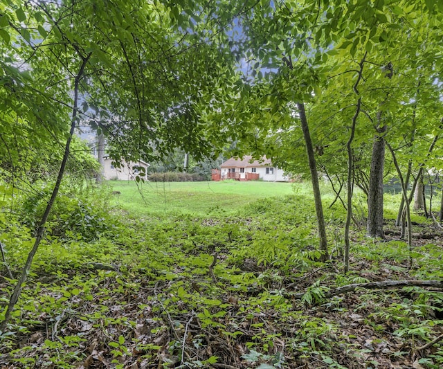 22285 Prosper Dr, Southfield, MI 48033 - photo 47