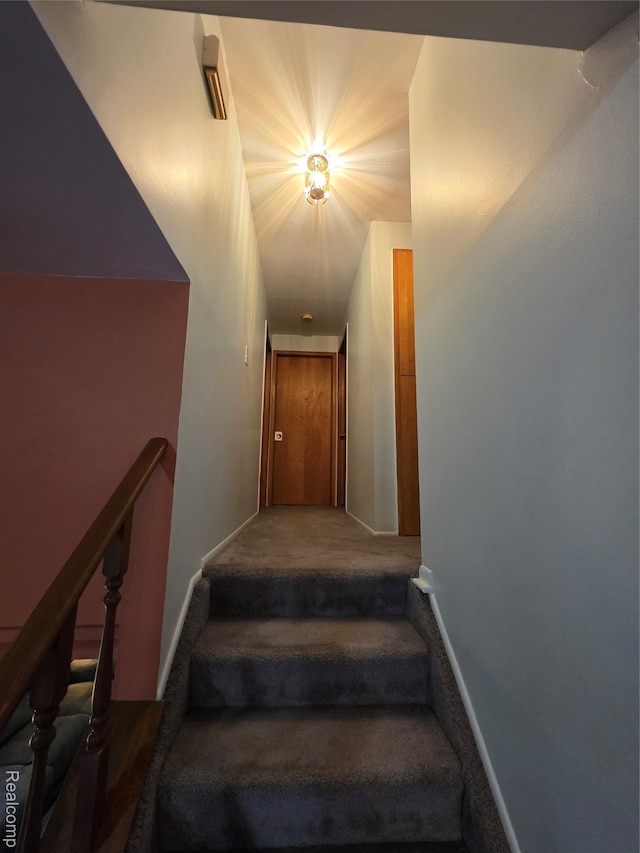 40804 Ivywood Ln, Plymouth, MI 48170 - photo 19