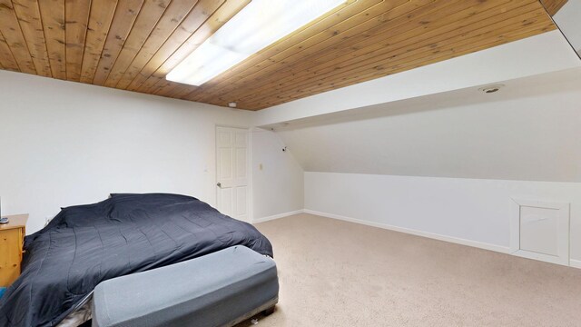 1207 N Dr, Mount Pleasant, MI 48858 - photo 21