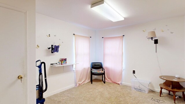 1207 N Dr, Mount Pleasant, MI 48858 - photo 15