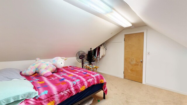 1207 N Dr, Mount Pleasant, MI 48858 - photo 17