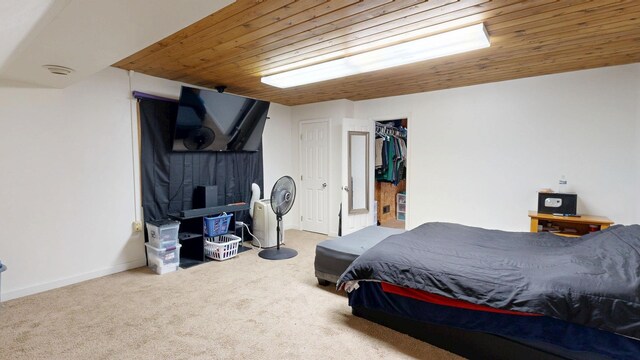 1207 N Dr, Mount Pleasant, MI 48858 - photo 20