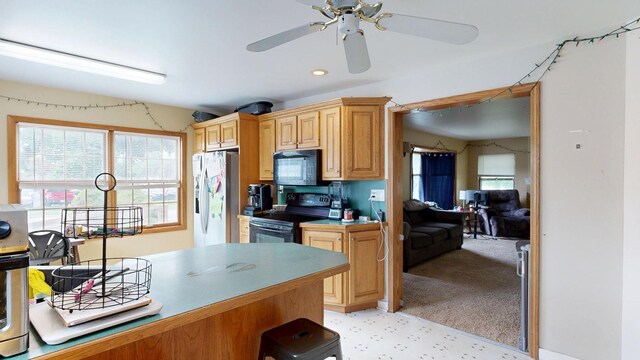 1207 N Dr, Mount Pleasant, MI 48858 - photo 9